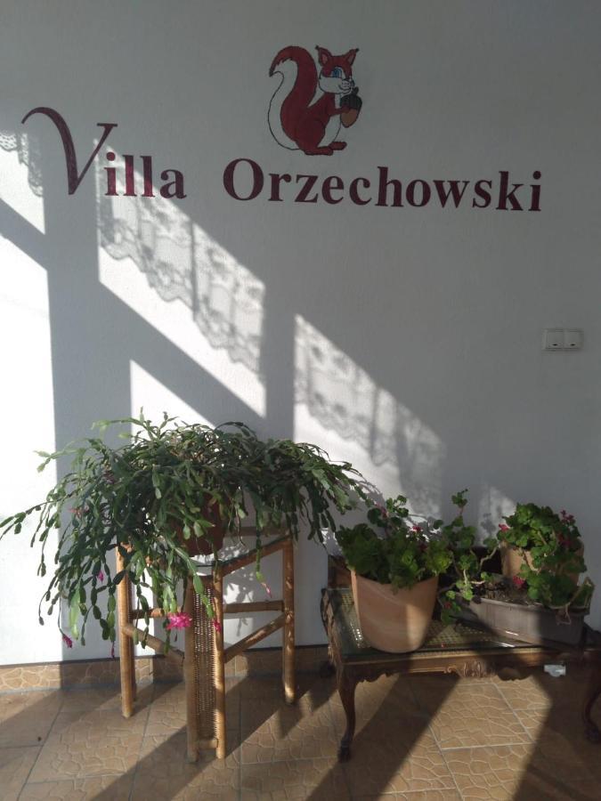 Villa Orzechowski Wisła Dış mekan fotoğraf